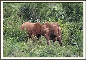 013 Suswa et Embu